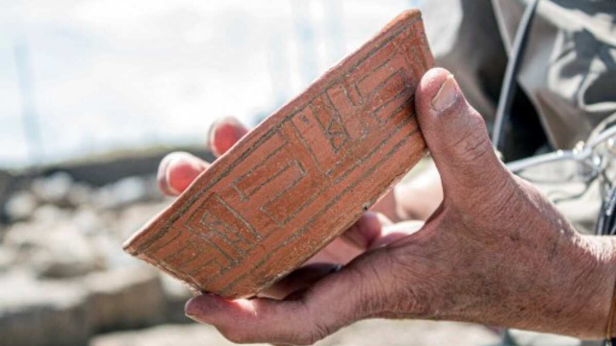 Decorated ceramic bowls and seals found