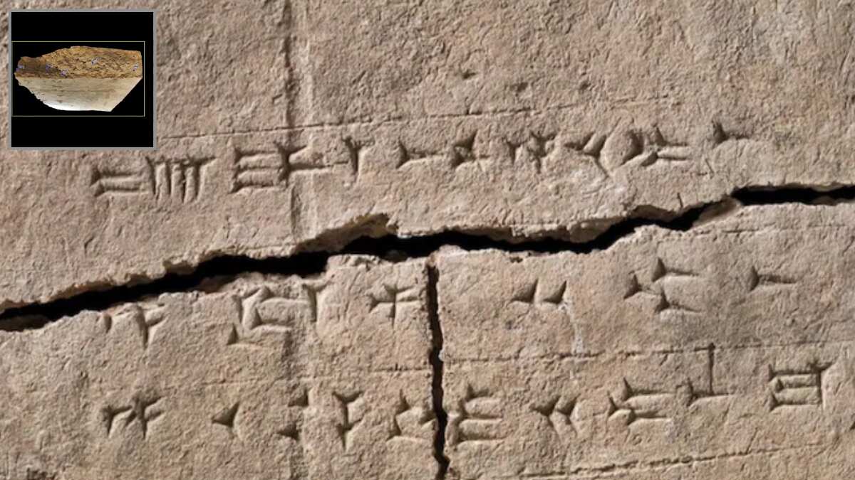Ancient 2,900 year-old clay brick becomes a time capsule of ancient DNA Ancient 2,900 year-old clay brick becomes a time capsule of ancient DNA
