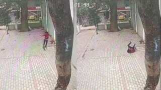 Watch: Rape accused escapes Indian jail by scaling 40-foot-high wall