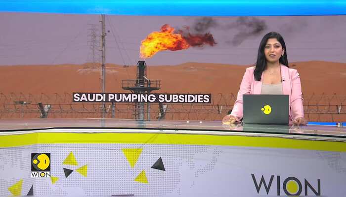 Saudi Arabia leads G20 in $7,000 per person fuel subsidies