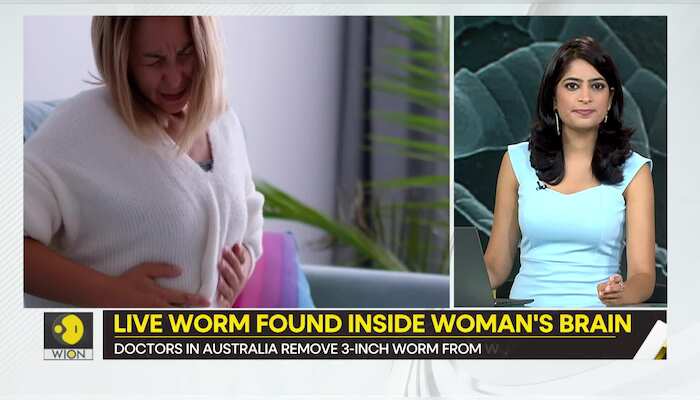 Gravitas : Brain Worm Nightmare: Doctors Pull Live Parasite from Patient's Brain