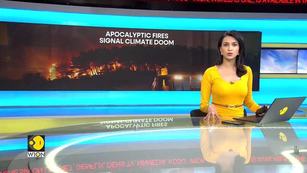 Greece wildfire scorches area bigger than New York City