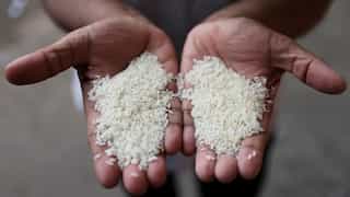 India extends free food grain programme to tackle rising cereal prices: Report