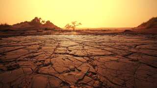 India set to register driest August since 1901 as El Nino conditions intensify