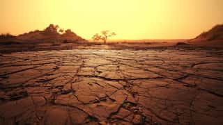 India set to register driest August since 1901 as El Nino conditions intensify