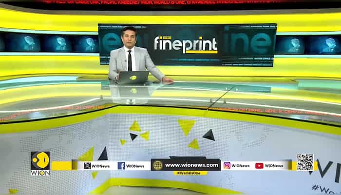 Sri Lankans pay homage to sacred Buddha tooth: Decorated elephants & traditional fire dance