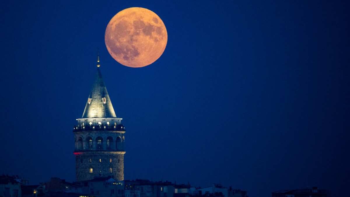 Watch | Rare blue supermoon, appearing after 14 years, dazzles night skies across the world Watch | Rare blue supermoon, appearing after 14 years, dazzles night skies across the world