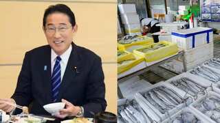 Japan PM Kishida vows to put together measures to help fishing industry after China seafood ban
