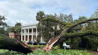 US: 100-year-old oak tree falls on Florida governor's mansion as Hurricane Idalia strikes