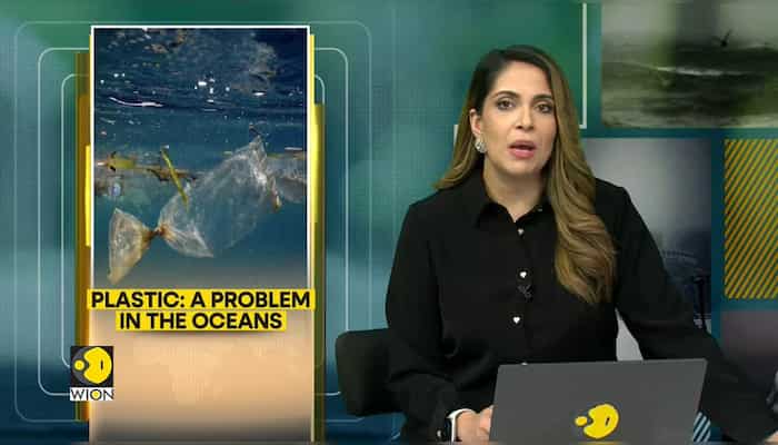 Less plastic litter in oceans than estimated: Study