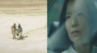 Busan Film Festival: 10 Korean independent films selected for Korean Cinema Today section