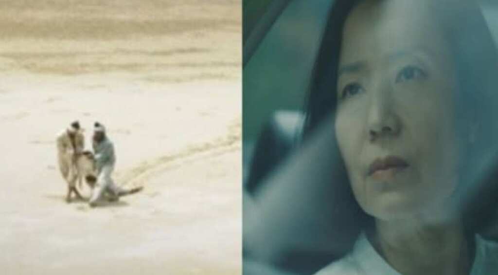 Busan Film Festival: 10 Korean independent films selected for Korean Cinema Today section