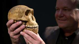 There were once only 1,280 early humans left to breed, claim Chinese scientists
