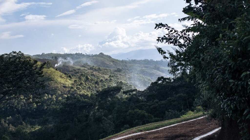 Two Chinese nationals, two others killed in attack on convoy carrying gold in Democratic Republic of Congo