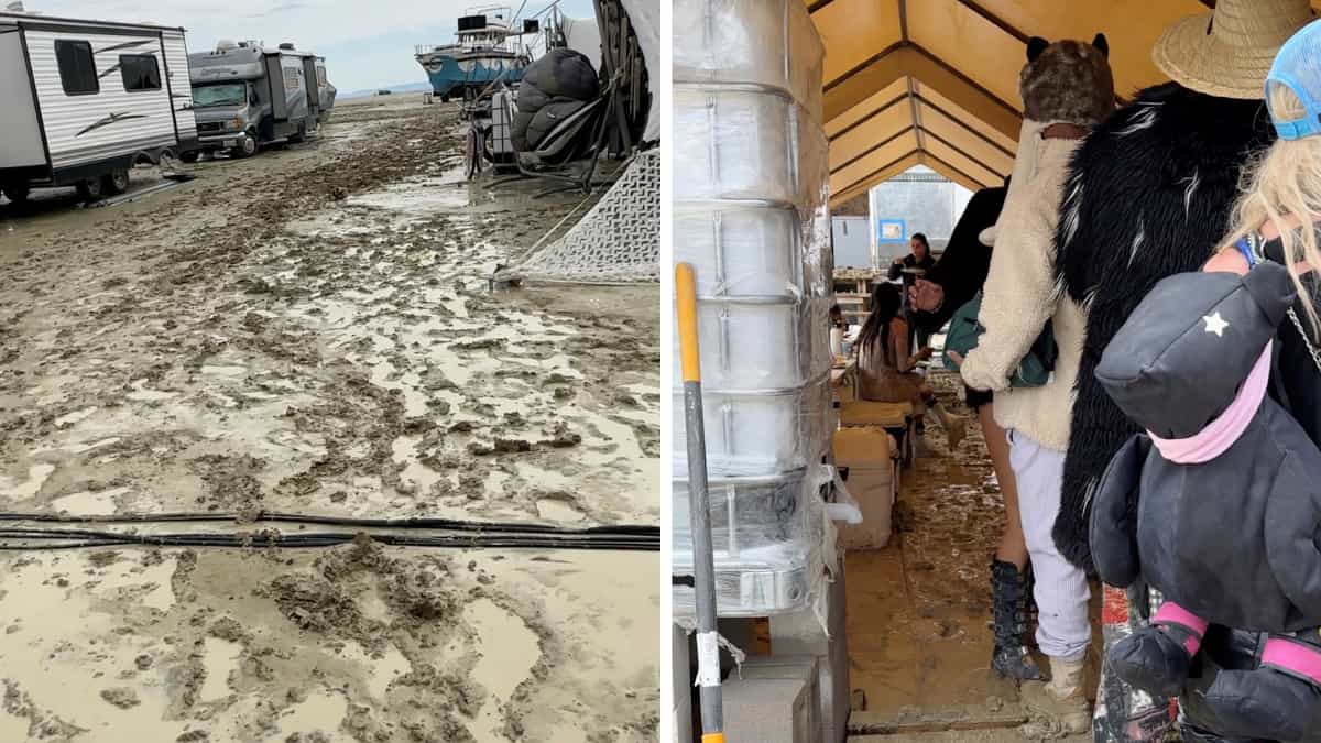 'Do not travel to Black Rock City!': Burning Man organisers
