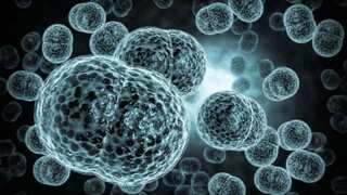 Meningococcal disease outbreak kills five in the United States