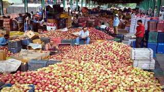 Asia’s second-largest fruit mandi in Kashmir abuzz with buyers from across India 