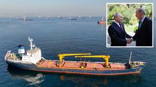 Russia may revive Black Sea grain deal if Putin's demands are met