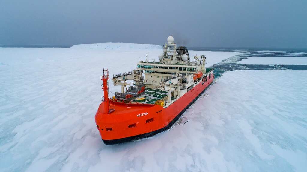Australia successfully rescues sick expedition member from remote Antarctic outpost