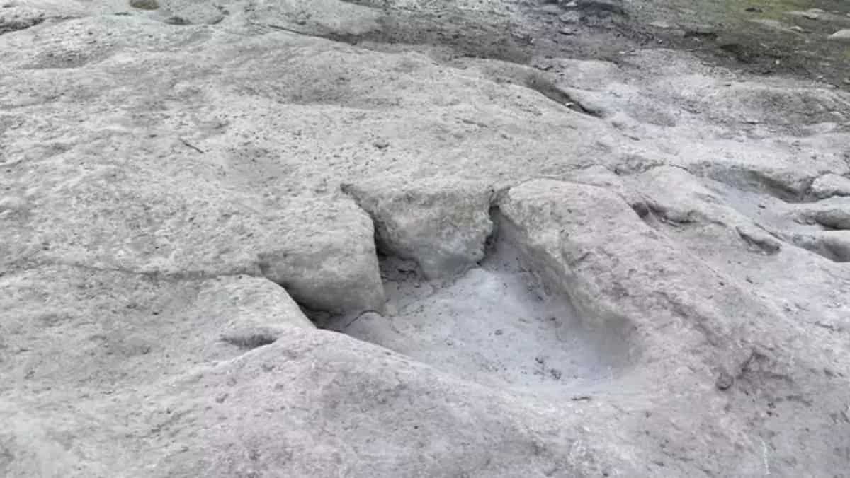 Texas drought unveils over 70 hidden dinosaur tracks in dry Paluxy riverbed