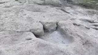 Texas drought unveils over 70 hidden dinosaur tracks in dry Paluxy riverbed