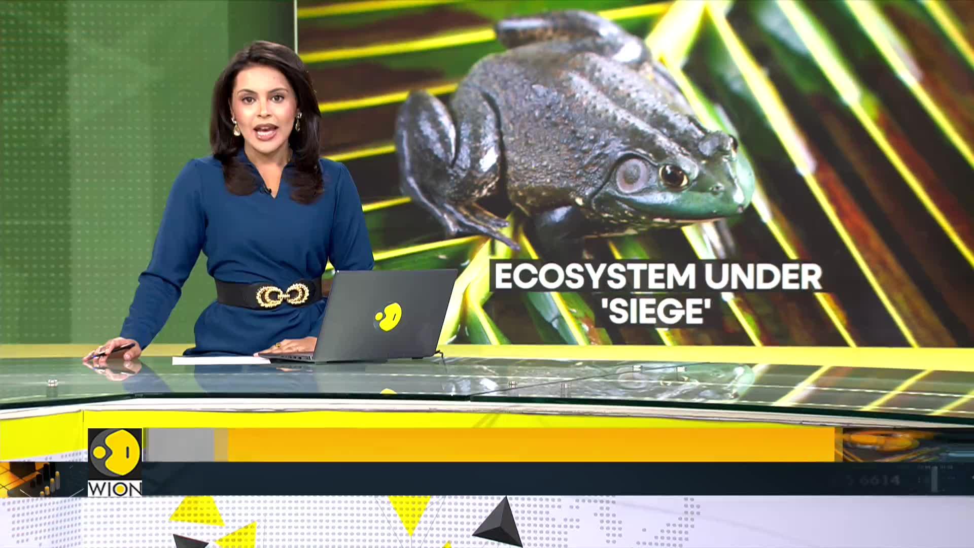 WionNews Video