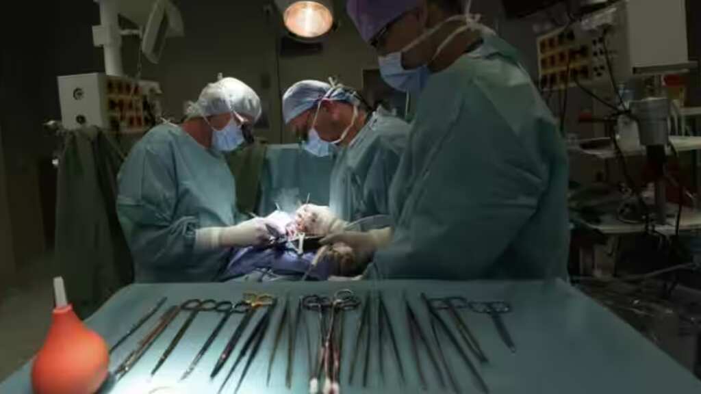 New Zealand: Surgical tool ‘size of dinner plate’ left in woman’s body after operation