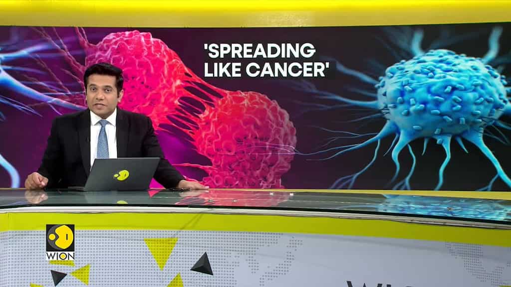 Cancer spikes by nearly 80% in nearly 20 years