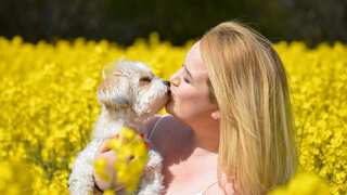 It's not OKAY to kiss your pets. Survey reveals why