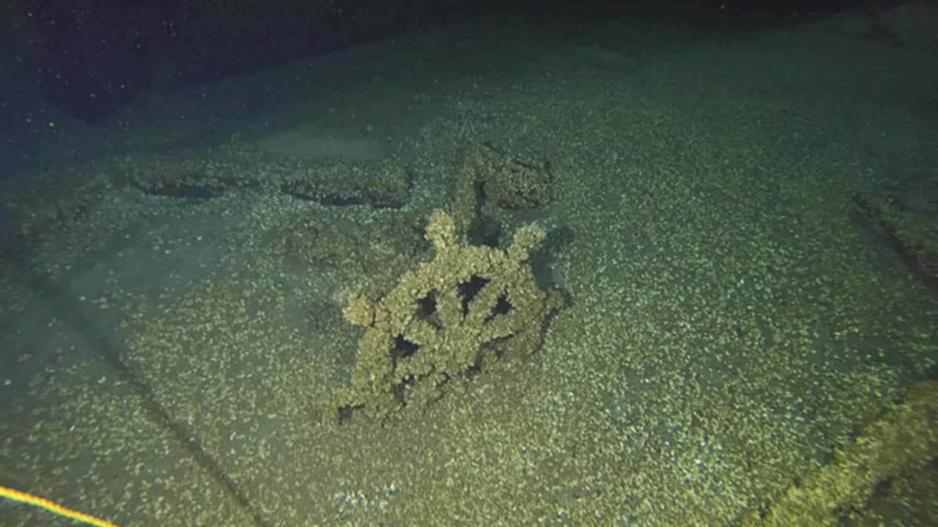 Time-travelling treasure: 156-year-old shipwreck emerges from Lake Michigan, pristine and intact Time-travelling treasure: 156-year-old shipwreck emerges from Lake Michigan, pristine and intact