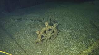 Time-travelling treasure: 156-year-old shipwreck emerges from Lake Michigan, pristine and intact