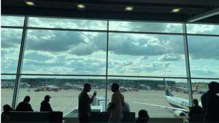 'One in 15 million' air-traffic chaos in UK was caused by a small software error. Here's what happened