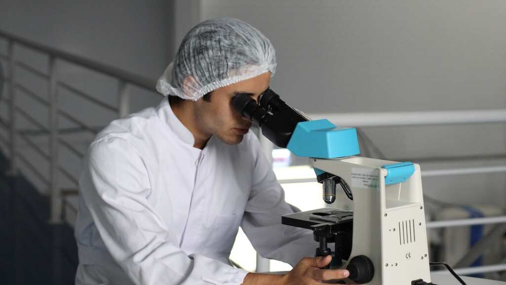 Scientists grow human embryo model without sperm or egg, pave way to unravel mysteries of early development