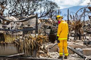 Maui wildfires: 66 people still missing a month after disaster