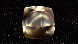 US: 'Dad Dad! I found one!' 7-yr-old finds sparkling 2.95-carat golden brown diamond on her b'day