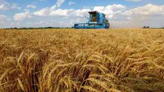 Ukraine looking to sue Poland, Hungary, and Slovakia over their bans on food imports