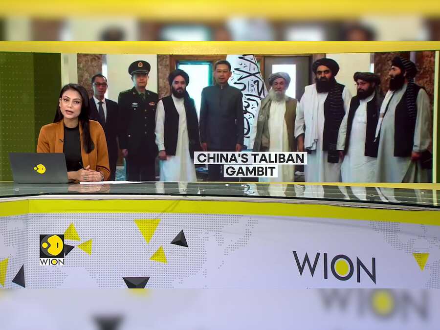 China's new relationship with Taliban | Taliban hails new Chinese ambassador
