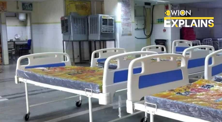 Explained | What is Scrub Typhus? Deadly mite-borne infection claims 14 lives in India