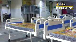 Explained | What is Scrub Typhus? Deadly mite-borne infection claims 14 lives in India