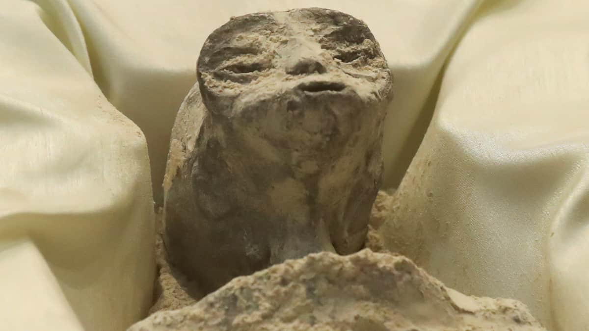 Experts sceptic over purported 'alien' bodies: 'Many elements made no sense' Experts sceptic over purported 'alien' bodies: 'Many elements made no sense'