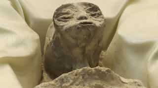 Experts sceptic over purported 'alien' bodies: 'Many elements made no sense'