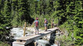 Canada installs special 'poop bag' dispensers to fix faecal furore in wilderness