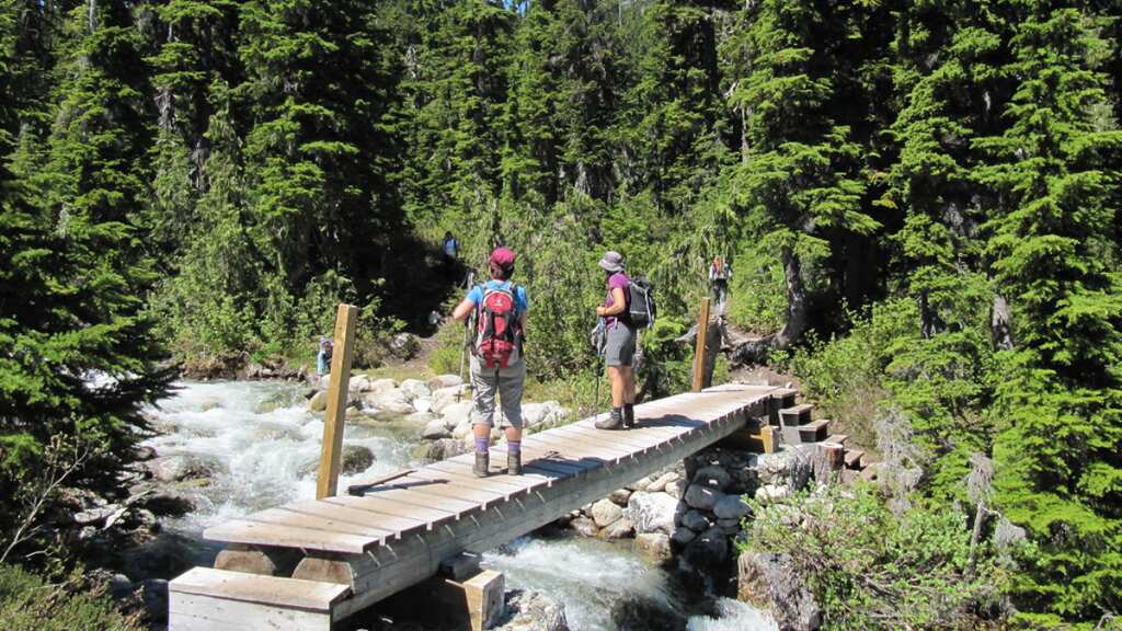 Canada installs special 'poop bag' dispensers to fix faecal furore in wilderness