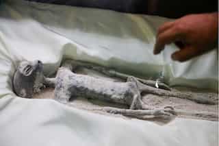 A close encounter with the 'alien bodies' in Mexico