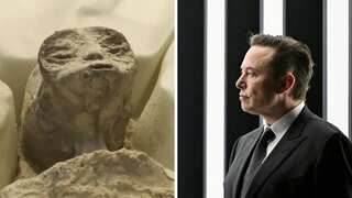 Elon Musk has this to say on Mexico alien corpses saga