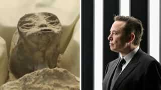 Elon Musk has this to say on Mexico alien corpses saga