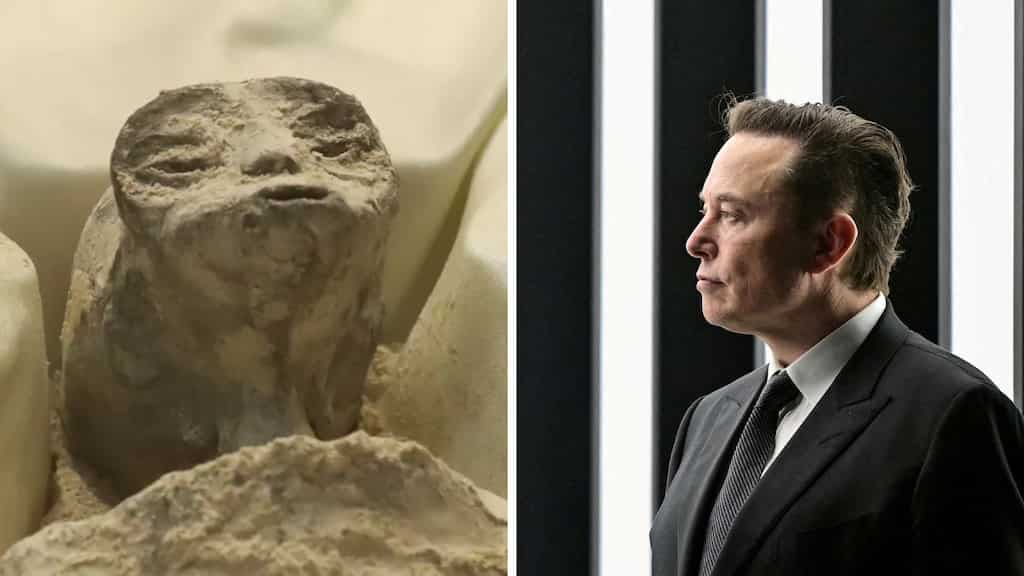 Elon Musk has this to say on Mexico alien corpses saga