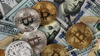 Impact of the upcoming US elections on cryptocurrencies, experts weigh in