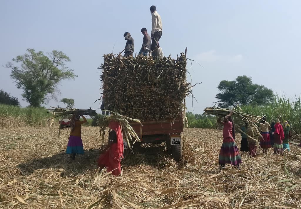 Brazil to offer India ethanol technology to resolve ongoing sugar dispute: Report