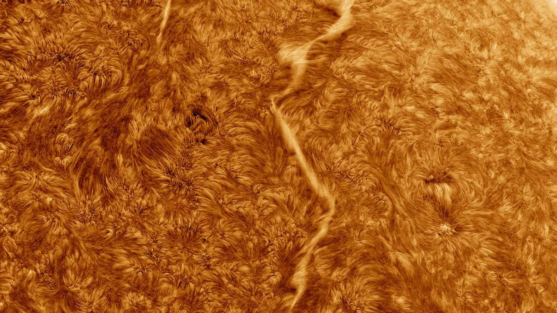 The Sun